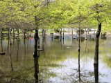 Lagoa das Furnas