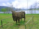 Lagoa das Furnas