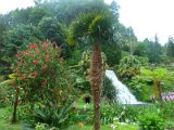 botanical garden near Nordeste / botanická zahrada u Nordeste