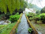 botanical garden near Nordeste / botanická zahrada u Nordeste