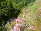 Ribeira dos Caldeirões