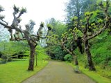 Parque Terra Nostra