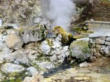 Achada das Furnas - hot springs / Achada das Furnas - horké prameny