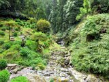 Ribeira dos Caldeirões