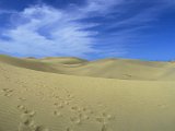 Dunas de Maspalomas