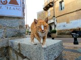 Porto-Vecchio