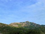 Corse