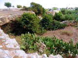 archeological site in Paphos