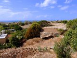 archeological site in Paphos