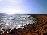 harbour in Paphos