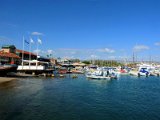 harbour in Paphos