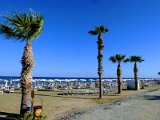 palm promenade, Larnaca