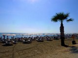 palm promenade, Larnaca