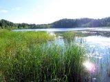 Kääriku lake / jezero Kääriku