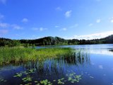 Kääriku lake / jezero Kääriku