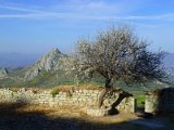 Acrocorinth