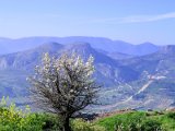 Acrocorinth