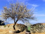 Acrocorinth