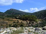 Mycenae