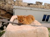 Acropolis of Athens