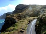 Carrick-a-rede