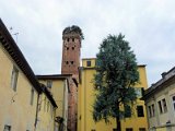 Torre Guinigi, Lucca