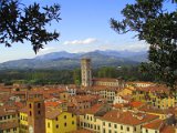 Lucca