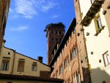 Torre Guinigi, Lucca