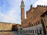 Piazza del Campo, Siena