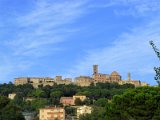 Volterra