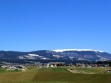 Asiago