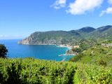 Cinque Terre / walking trail Monterosso-Vernazza