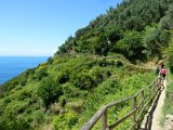 Cinque Terre / walking trail Monterosso-Vernazza