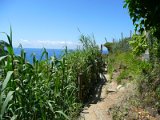 Cinque Terre / walking trail Monterosso-Vernazza