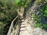 Cinque Terre / walking trail Monterosso-Vernazza