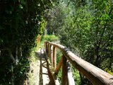 Cinque Terre / walking trail Monterosso-Vernazza