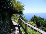 Cinque Terre / walking trail Monterosso-Vernazza