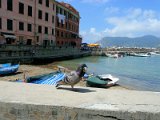 Cinque Terre / Vernazza