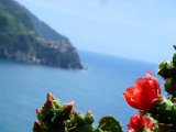 Cinque Terre / Corniglia