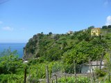 Cinque Terre / Corniglia