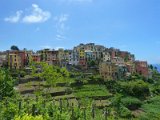 Cinque Terre / Corniglia