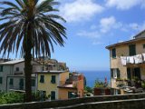 Cinque Terre / Corniglia