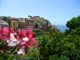 Cinque Terre / Corniglia