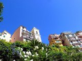 Cinque Terre / Manarola