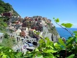 Cinque Terre / Manarola