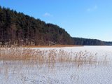 Bebrusų lake / jezero Bebrusų