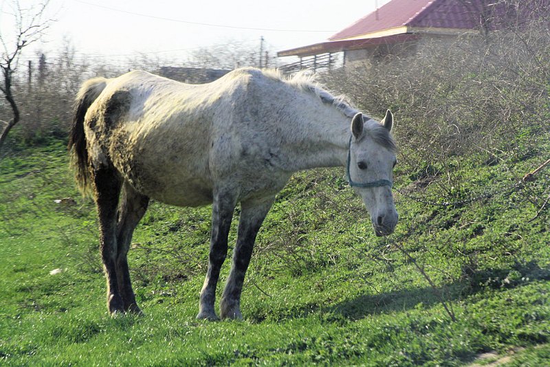 Romania_07