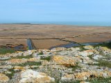 Danube Delta