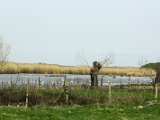 Danube Delta / delta Dunaje