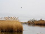 Danube Delta / delta Dunaje